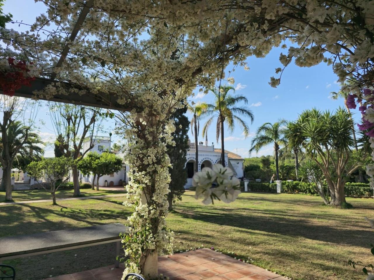 Villa Paula Valencia 马尼塞斯 外观 照片